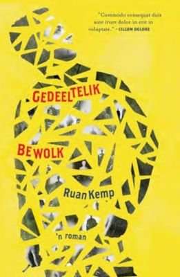 Gedeeltelik Bewolk - 'n Roman (Afrikaans, Paperback)