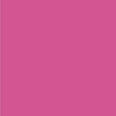 American Crafts Textured Cardstock - Raspberry (12x12)(10 Sheets)