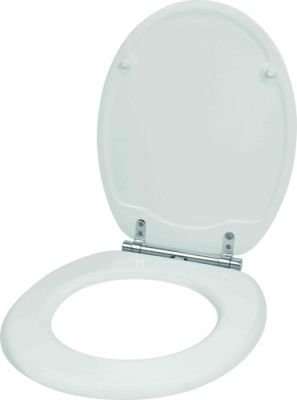 Wildberry Removeable Soft Closing Toilet Seat (White)