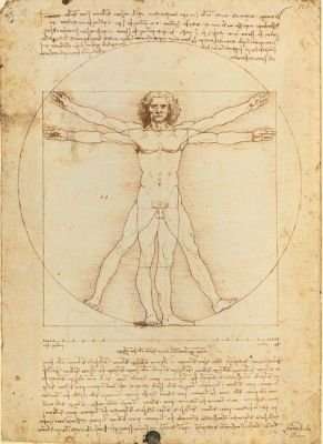 Clementoni Leonardo Vitruvian Man Jigsaw Puzzle (500 Piece)