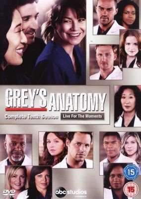 Grey's Anatomy - Season 10 (DVD)