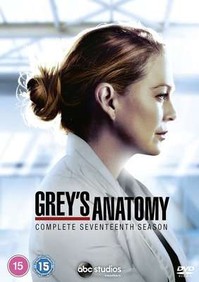 Grey's Anatomy - Season 17 (DVD)