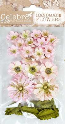 Celebr8 Flowers - Blush