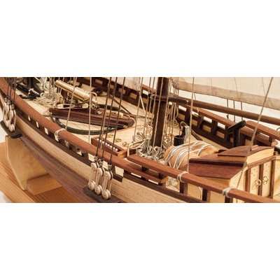 Artesania Latina - Virginia American Schooner 1819