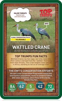 Top Trumps Endangered WIldlife Trust