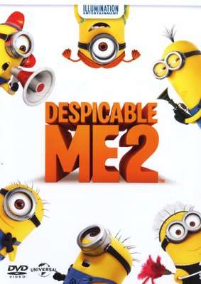 Despicable Me 2 (DVD)