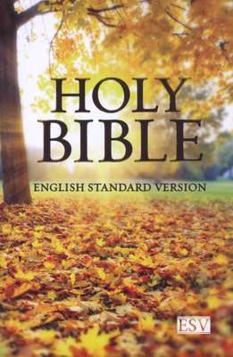 ESV Compact Bible (Autumn) (Paperback)