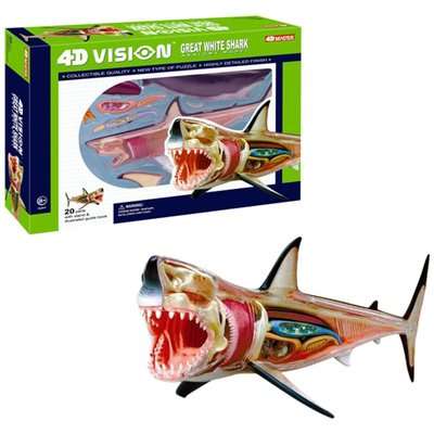4D Master Animal Anatomy - Shark