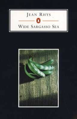 Wide Sargasso Sea (Paperback, New Ed)