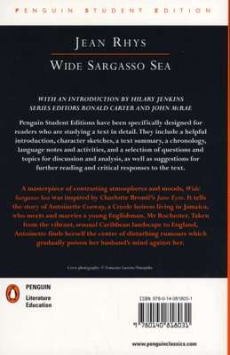 Wide Sargasso Sea (Paperback, New Ed)