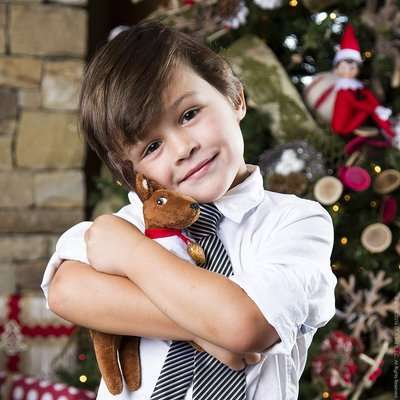 The Elf on the Shelf - Elf Pets: A Reindeer Tradition