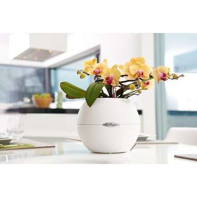 Lechuza Puro Color 20 (White) - White