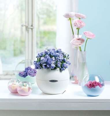 Lechuza Puro Color 20 (White) - White