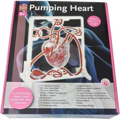 Edu-Toys Pumping Heart