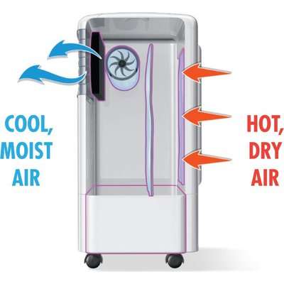 Bennett Read 3-In-1 Air Cooler with Remote Control (11L)