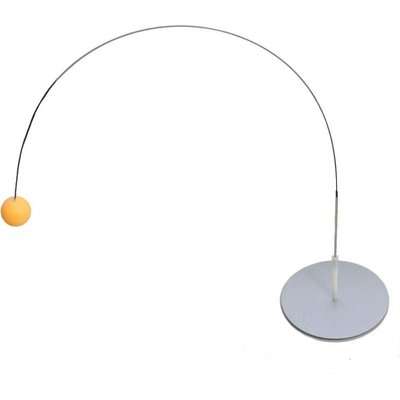 Portable Table Tennis Trainer