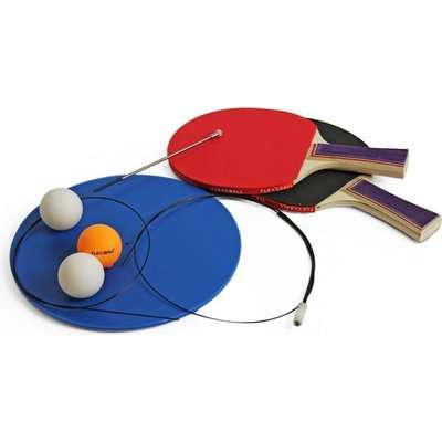 Portable Table Tennis Trainer
