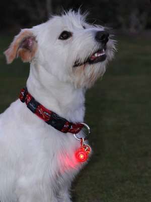 Rogz ID Tagz Roglite - Large 31mm  (Red Light)