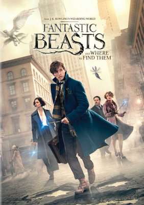 Fantastic Beasts And Where To Find Them (DVD)