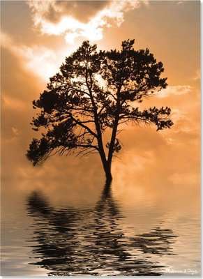 Melissa & Doug Tree Island (500 Piece) Jigsaw Puzzle