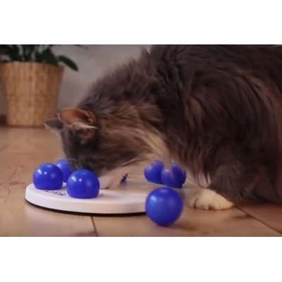 Trixie Cat Activity - Solitaire Strategy Game (White/Blue)(20cm)