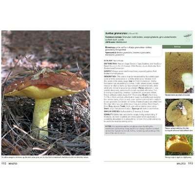 Mushrooms and Other Fungi of South Africa (Paperback)