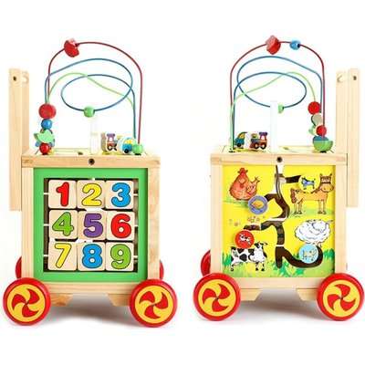 Jeronimo Wooden Cube Activity Walker