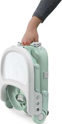Chicco Pocket Snack Booster Seat (Modern Mint)