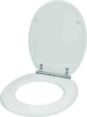 Wildberry Removeable Soft Closing Toilet Seat (White)