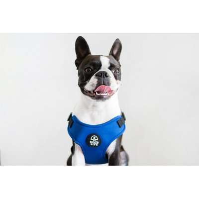 Dog's Life X Dog Neoprene Soft Harness (Yale Blue)