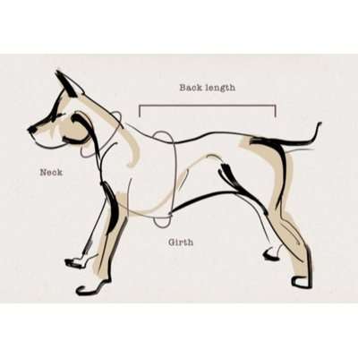 Dog's Life X Dog Neoprene Soft Harness (Yale Blue)