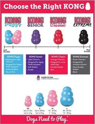 KONG Blue Puppy Treat Toy