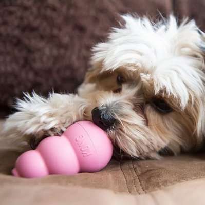 KONG Blue Puppy Treat Toy