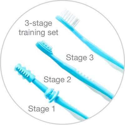 Snookums Infant Tooth Brush Set (Colour May Vary)