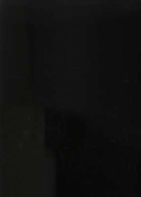 The Dovekeepers (Paperback)