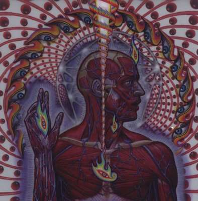 Lateralus (CD)