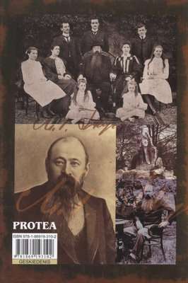 Marthinus Theunis Steyn (Afrikaans, Paperback)