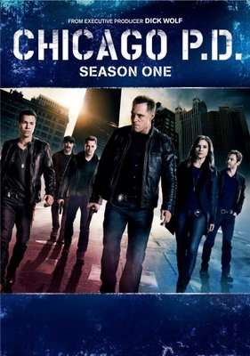 Chicago P.D. - Season 1 (DVD)