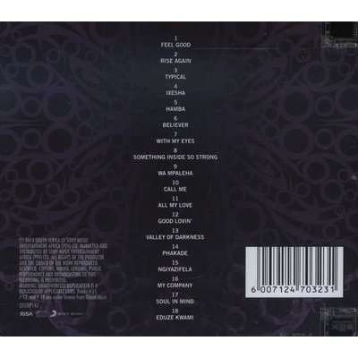 Rise Again  - The Reworked Hits Collection (CD)