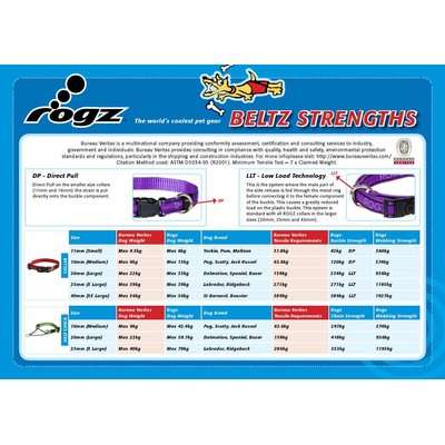 Rogz Fancy Dress Beach Bum Dog Collar - Large 20mm (Bronze Bone Design)