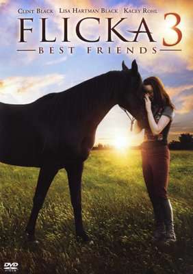 Flicka 3 (DVD)