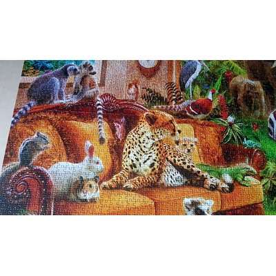 Educa Entering The Bedroom Puzzle (6000 Piece)