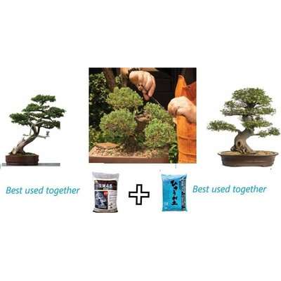 Akadama Japanese Hard (Ibaraki) (14Ltrs) - For Bonsai