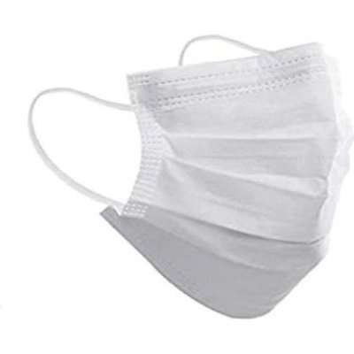 2Ply Disposable Face Mask (Single Unit)