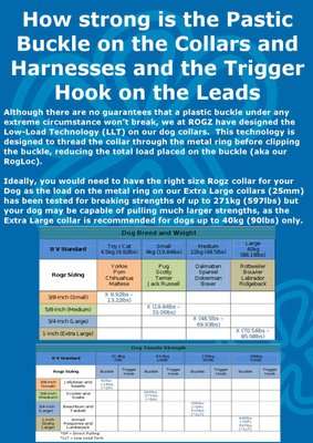 Rogz Fancy Dress Beach Bum Fixed Dog Lead - Large 20mm (Bronze Bone Design)