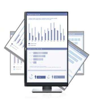 Dell P2419H 61 cm (24")  Full HD LCD Monitor (Black)