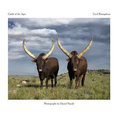 Cattle Of The Ages - Stories And Portraits Of The Ankole Cattle Of Southern Africa (Hardcover)