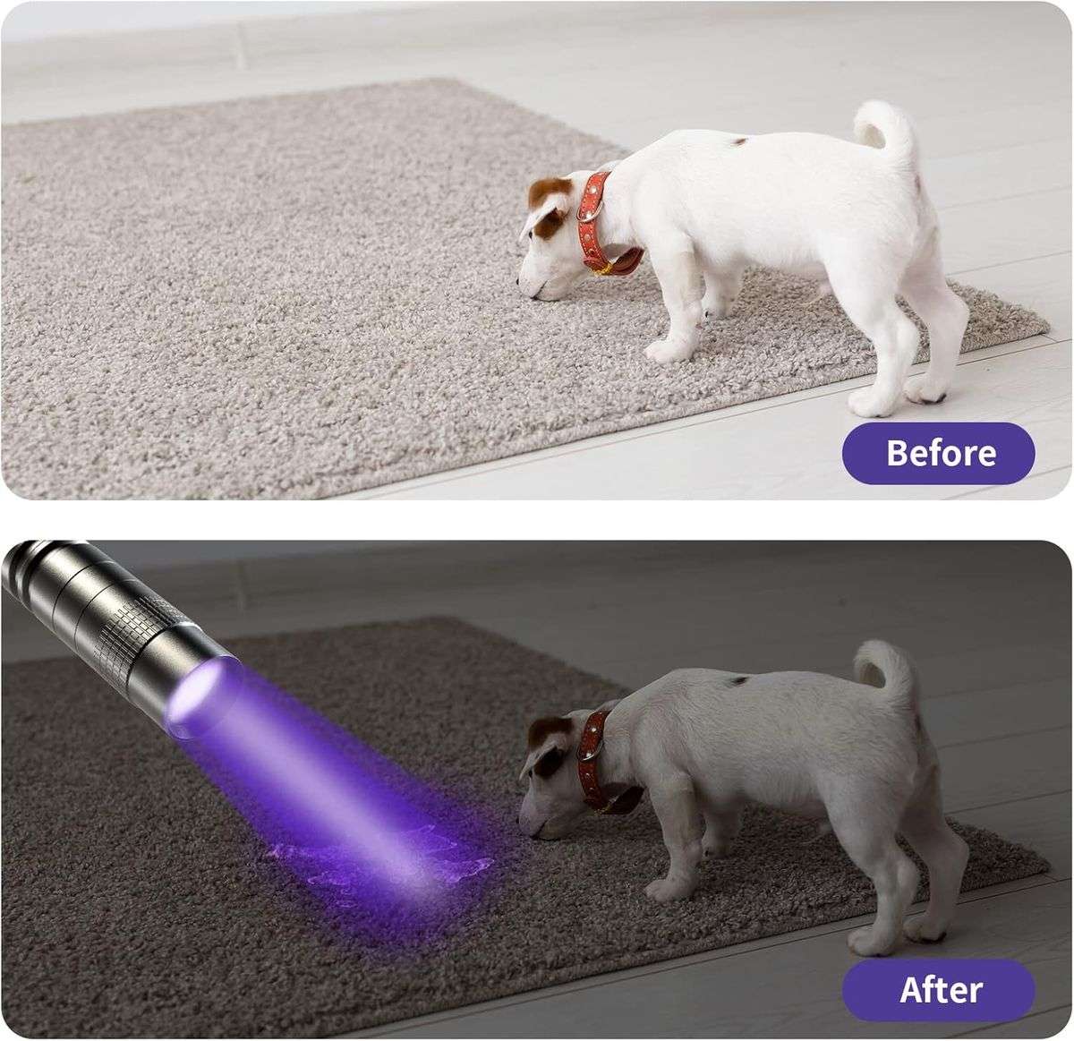 395NM UV Black Light Flashlight