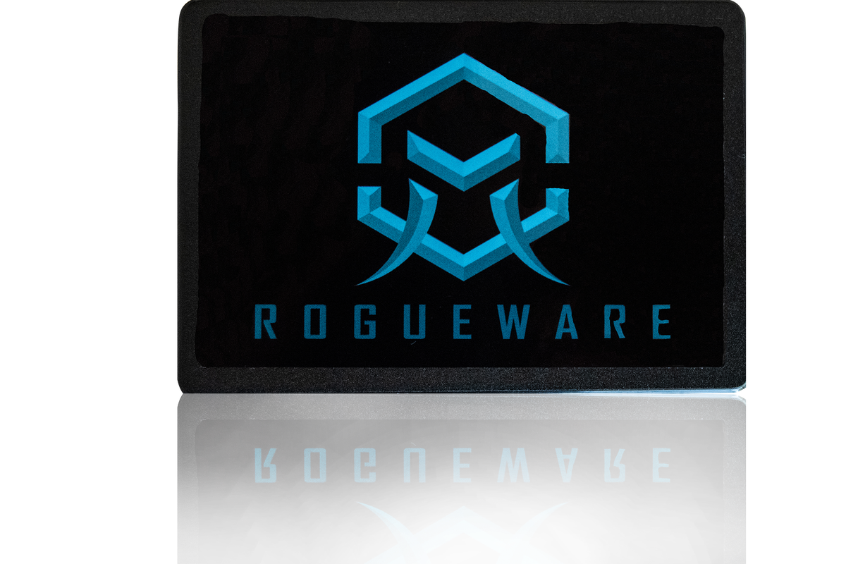 Rogueware NX100S 256GB SATA3 2.5` 3D NAND Solid State Drive