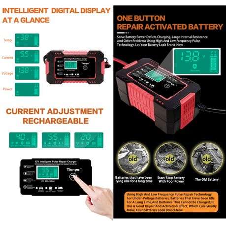 RJTianye 12V intelligent Pulse Repair Charger